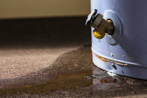 Best Ceiling water damage repair  in Sharon, TN