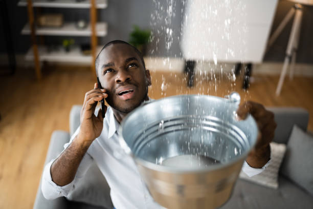 Best Commercial water damage restoration  in Sharon, TN