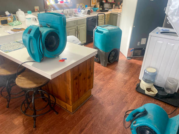 Best Water damage restoration near me  in Sharon, TN