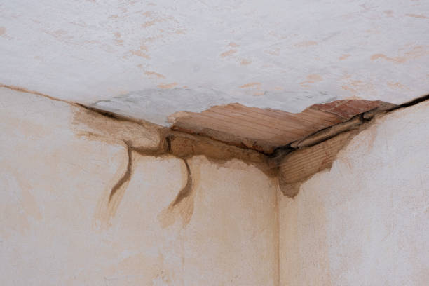 Best Sewage cleanup and water damage restoration  in Sharon, TN