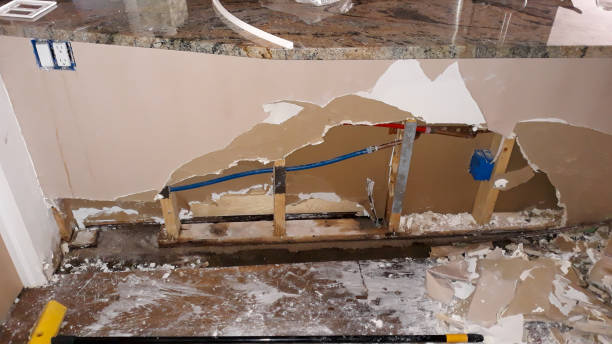 Best Flood damage cleanup  in Sharon, TN
