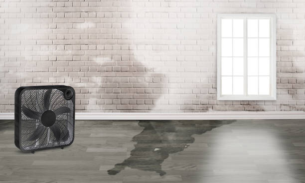 Best Water damage restoration services  in Sharon, TN