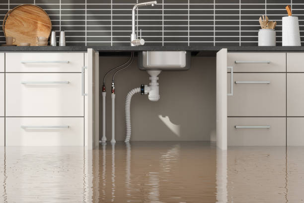 Best Flood restoration services  in Sharon, TN