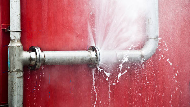 Best Carpet water damage restoration  in Sharon, TN